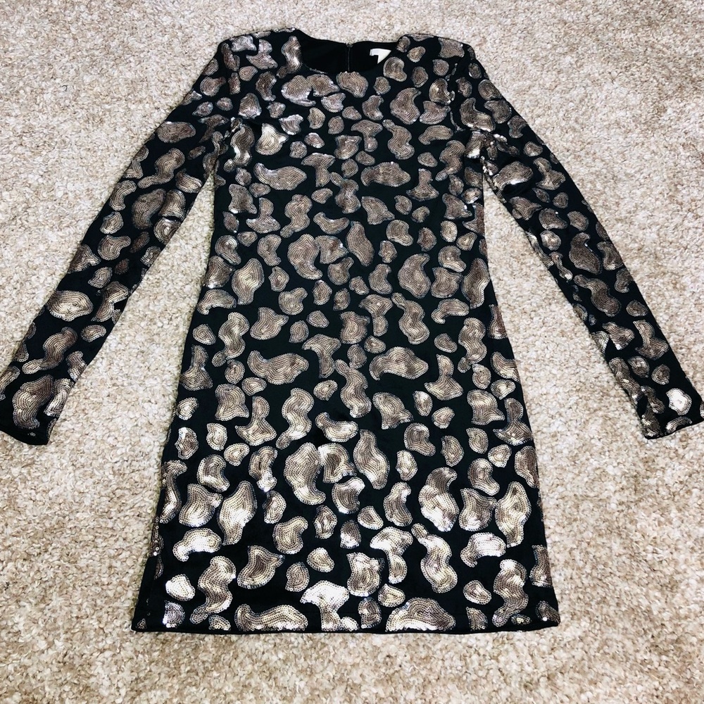 H&M Long Sleeve Suede Dress